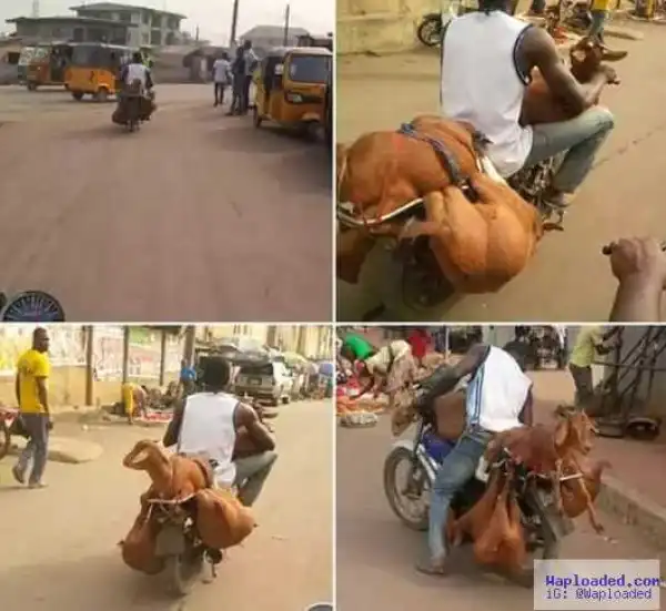 See What This Guy Was Caught Doing In Onitsha Today [See Photos]